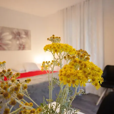 Studio Bloom