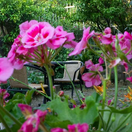 Apartman Studio Bloom
